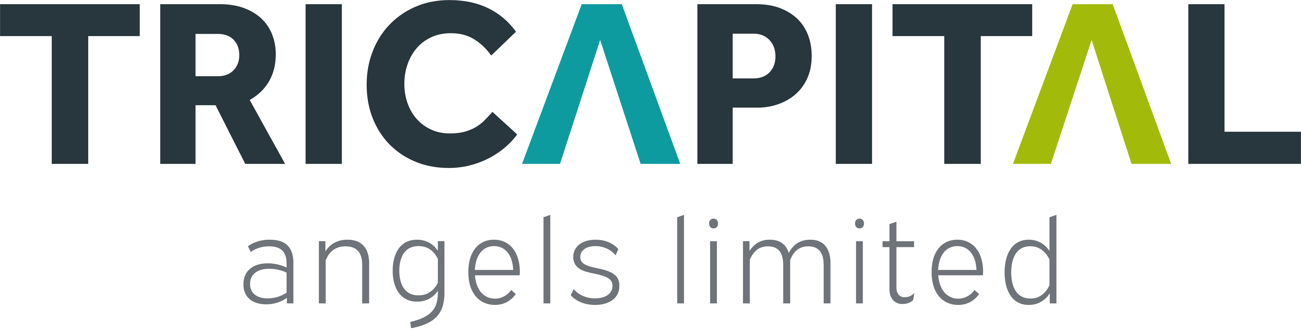 Tricapital Angels